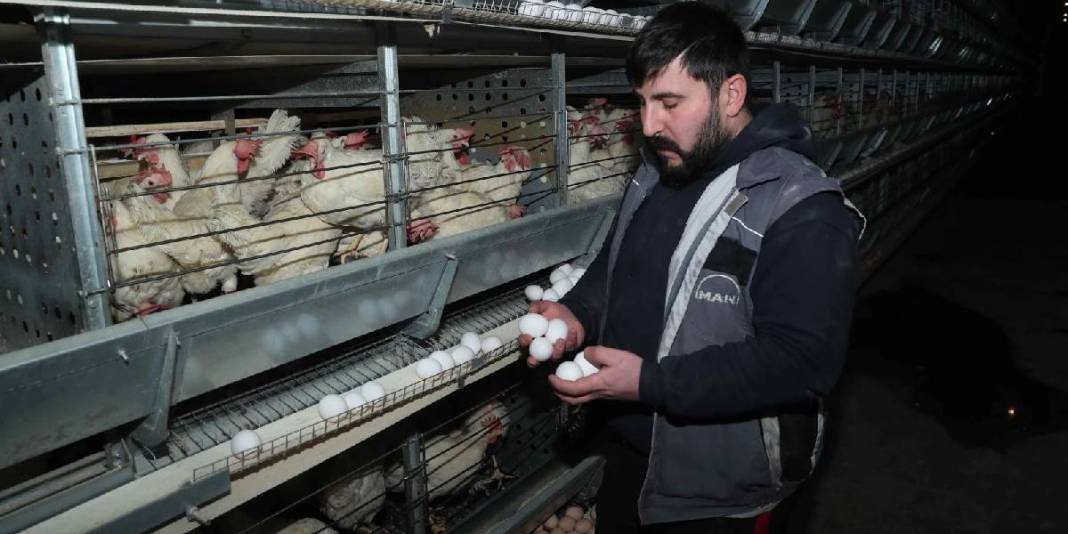 Devlet desteğiyle kurdu, AB standartlarıyla üretime başladı! Talep de üretim de artıyor: Birçok ilin ihtiyacını karşılıyor 6